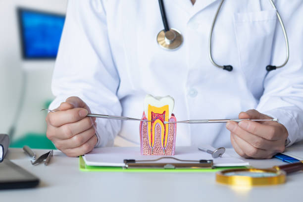 Best Emergency Dental Care for Broken or Chipped Teeth in Elizabethtown, PA